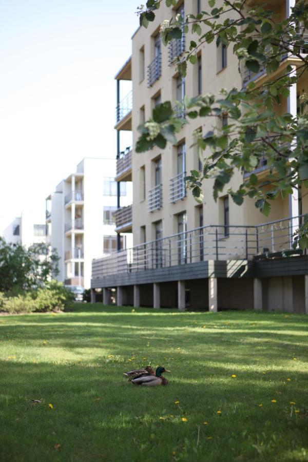 Cozy Home Apartment Kaivas, free parking, self check-in Ryga Zewnętrze zdjęcie